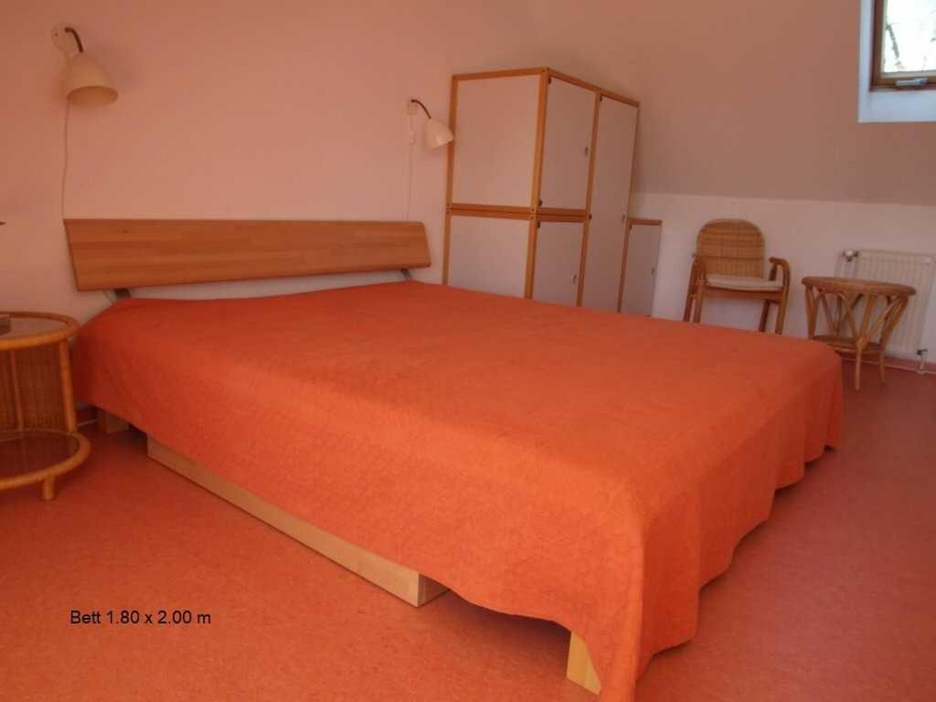 Birkenstrasse 6 I Wohnung 11 Zingst Oda fotoğraf